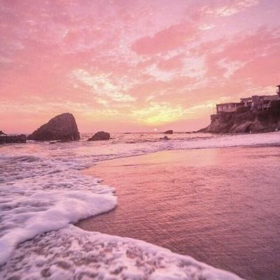 新宝十大登录平台