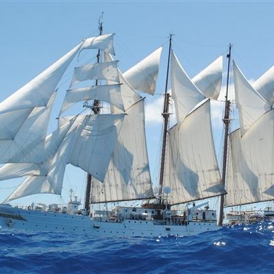 kok在线官网入口