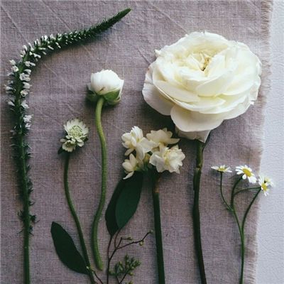 Welcome-凤凰彩票